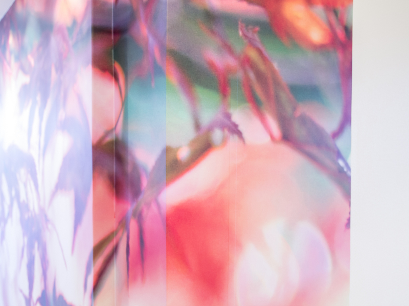 P3134906